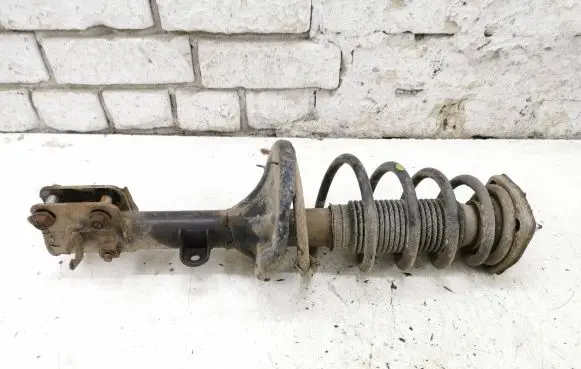 Hyundai Tucson JM Rear shock absorber with coil spring 