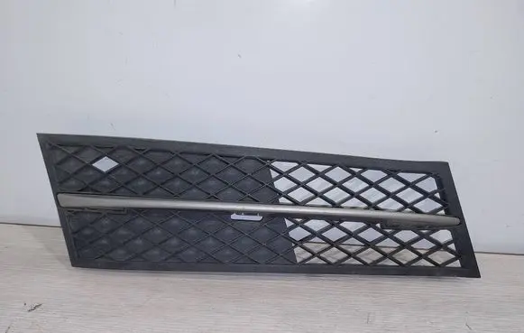 BMW 5 F10 F11 Front bumper lower grill 11460915 7200300