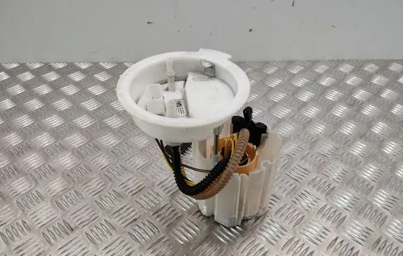 BMW X1 F48 F49 In-tank fuel pump 7300483