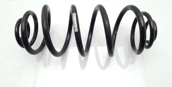 Rear coil spring