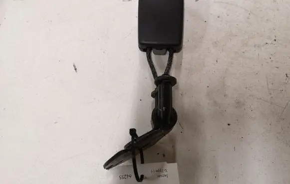 Jaguar X-Type Rear seatbelt buckle 1X43813K21AC
