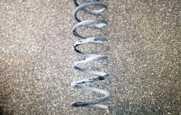 Ford Focus Rear coil spring