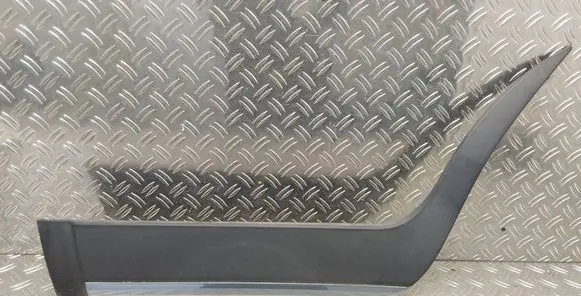 Toyota Urban Cruiser (XP110) Rear door trim (molding) PZ415B4401