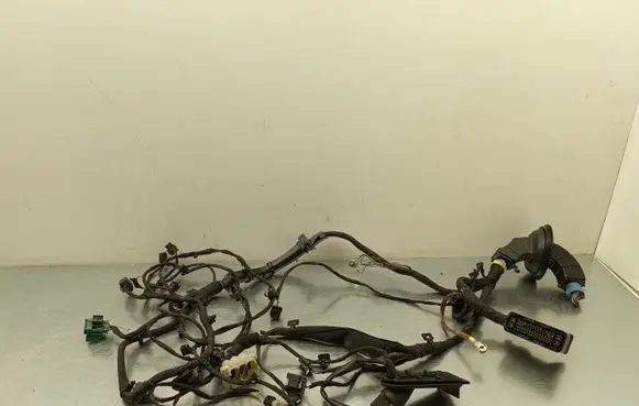 Mercedes-Benz EQC Other wiring loom A2539980101
