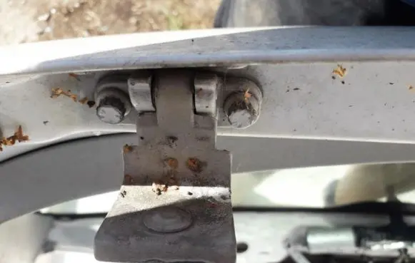 Volkswagen Polo Tailgate/trunk/boot hinge