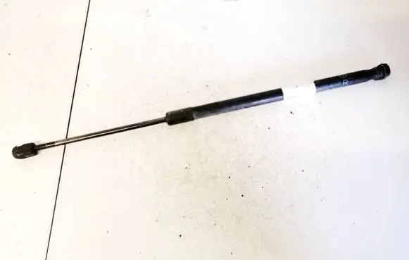 Tailgate/trunk strut/damper