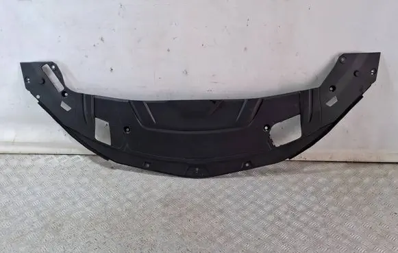 Engine bonnet/hood lock trim molding