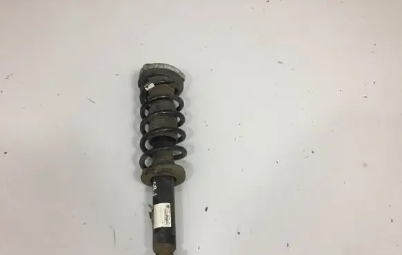 BMW X3 F25 Rear shock absorber/damper 6796422
