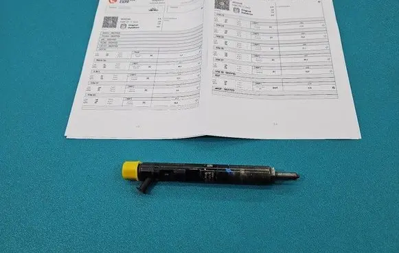 Renault Scenic II - Grand scenic II Fuel injector 28232248 IMPRK1446051