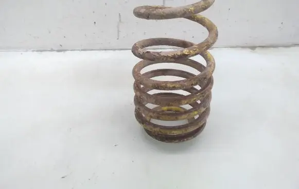 Seat Leon (1M) Rear coil spring
