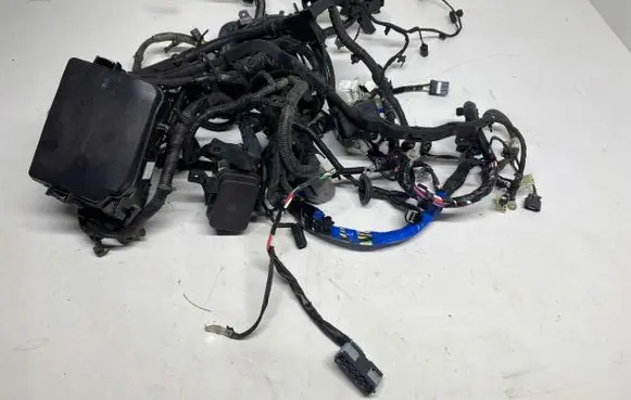 KIA Carens III Other wiring loom 91941-A4051