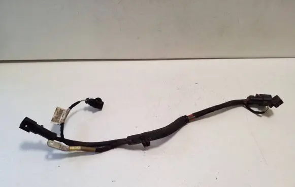 Audi A5 Other wiring loom 8W2971111D