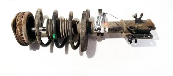 Renault Laguna III Front shock absorber/damper AGR144MT
