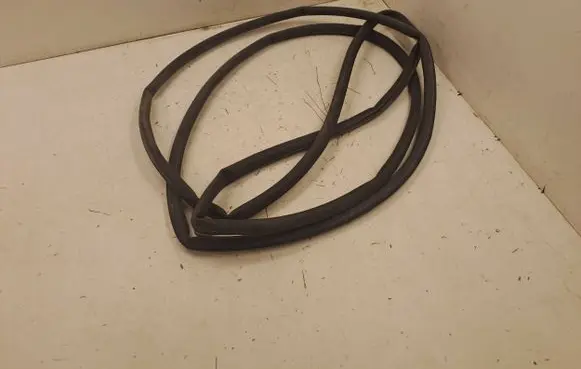 BMW X7 G07 Rubber seal front door (on door) E05755