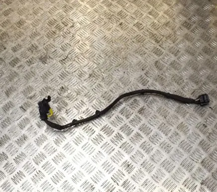 Jaguar I-Pace Other wiring loom 117036391