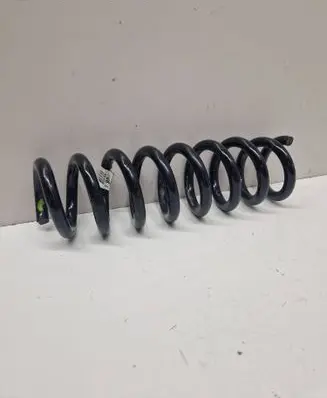 Rear coil spring