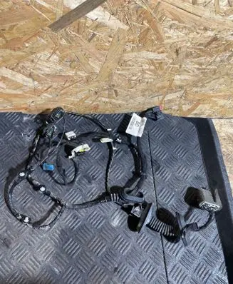 Jaguar XF X250 Rear door wiring loom 8X2T14632 12032457