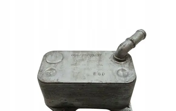 Seat Leon (1P) Engine oil radiator 06D117021C