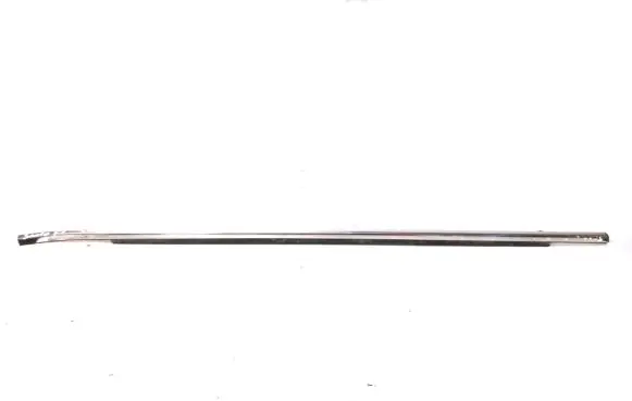 Hyundai Santa Fe Front door glass trim molding 