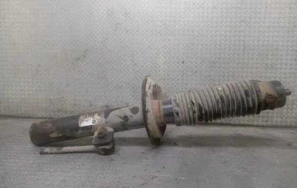 Citroen Xsara Picasso Front shock absorber/damper