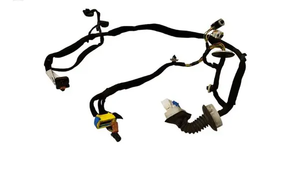 Front door wiring loom