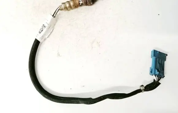 Peugeot 207 Lambda probe sensor 75489618004