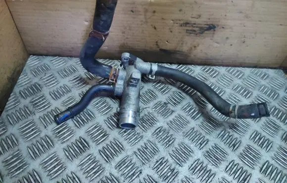 Thermostat/thermostat housing