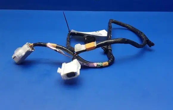 Rear door wiring loom
