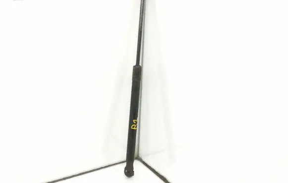 Tailgate strut