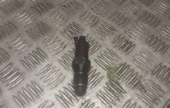 Citroen Berlingo Fuel injector LCR6736001
