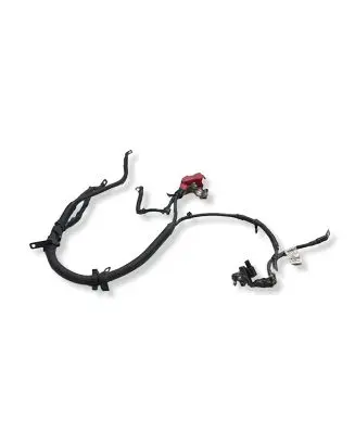 Chevrolet Captiva Positive cable (battery) 22738560 560856002