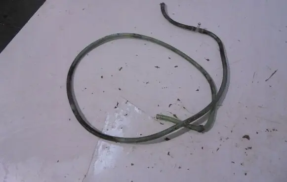 Audi A4 S4 B6 8E 8H Headlight washer hose/pipe PRZEWD