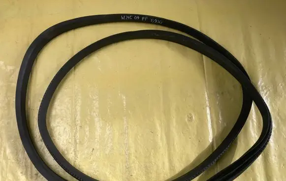Mercedes-Benz B W245 Front door rubber seal A1696920076
