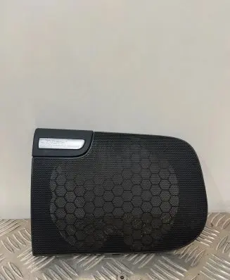 Side speaker trim/cover