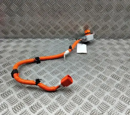 Lexus RZ Other wiring loom 821H242040