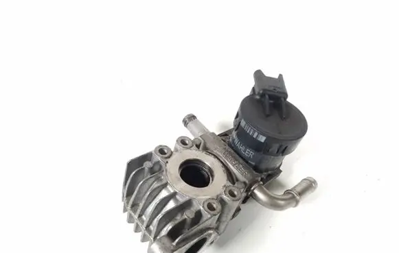 BMW 3 E90 E91 EGR valve 7548415
