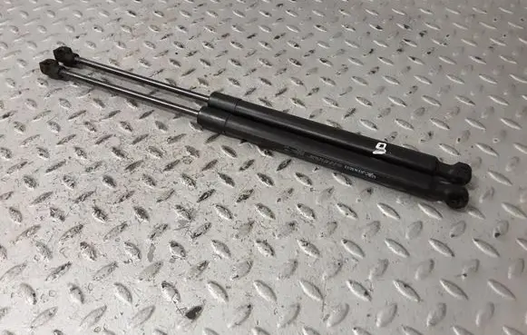 Dacia Sandero III Tailgate/trunk strut/damper 904514512R 7000210572 904525475R