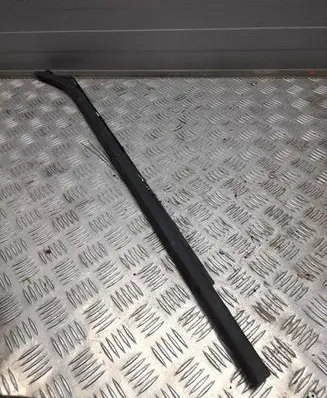 Ford F150 Rear door glass trim molding FL341625597AF FL3Z1625597D