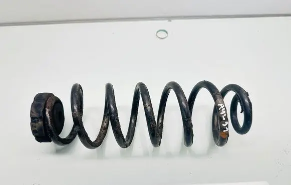 Rear coil spring