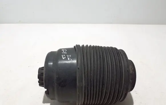 Mercedes-Benz GLE W167 Rear air suspension bag/shock absorber A1673200025