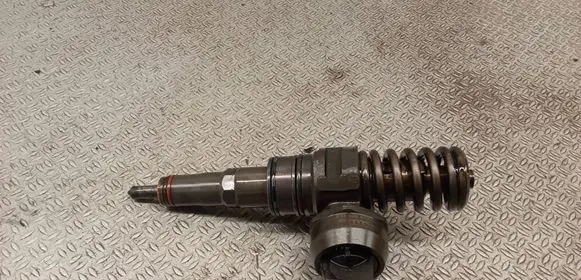Volkswagen Golf Plus Fuel injector 038130073BN