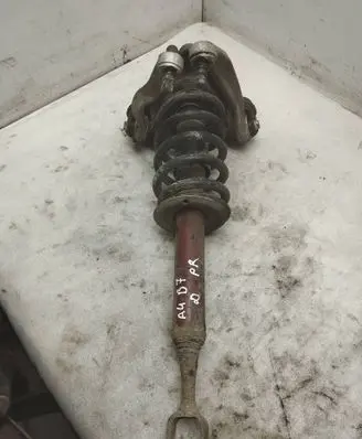 Audi A4 S4 B7 8E 8H Front shock absorber with coil spring
