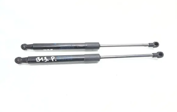 BMW X1 E84 Front bonnet/hood damper/strut 2990344 51232990344