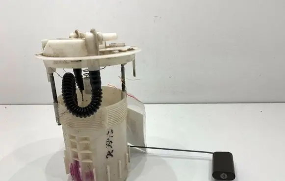 Renault Kangoo II In-tank fuel pump 8200689199