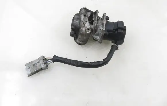 Ford Focus EGR valve 215989528 9654818180