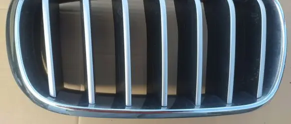 BMW X5 F15 Front bumper upper radiator grill 7316076