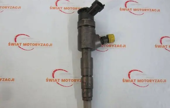 Citroen Berlingo Fuel injector 