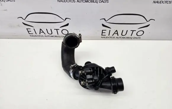 Thermostat/thermostat housing