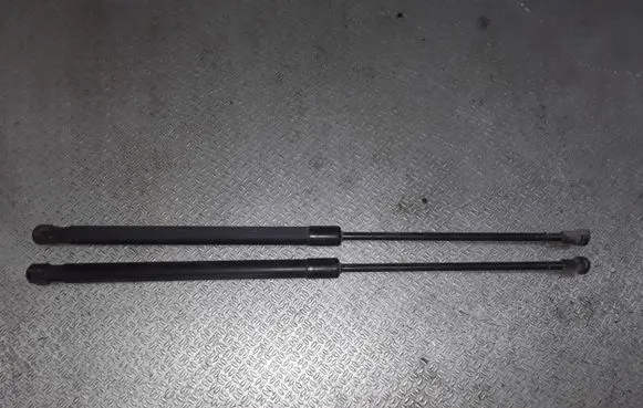 Tailgate/trunk strut/damper