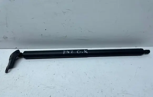 BMW X1 F48 F49 Tailgate/trunk strut/damper 0E748180503